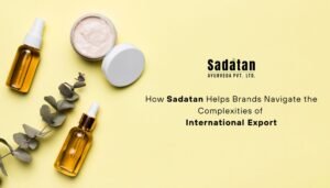 How Sadatan Helps Brands Navigate the Complexities of International Export